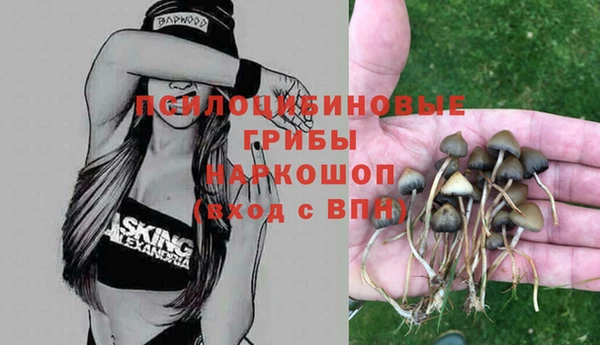 прущий лед Яранск